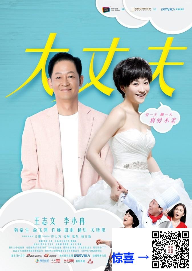 2014-2016-大丈夫+小丈夫-李小冉-王志文-俞飞鸿-共48集-国语-中字-1080P-共370.5G
