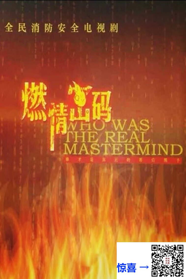 2013-燃情密码-王强-郭晓晓-关亚军-共30集-国语中字-MP4每集均约800M-共23.97G-1080P高清无水印