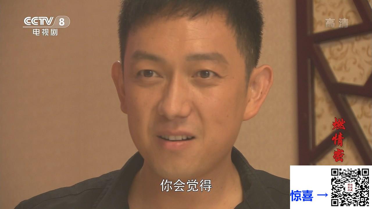 2013-燃情密码-王强-郭晓晓-关亚军-共30集-国语中字-MKV每集均约1.38G-共41.5G-CCTV8录制