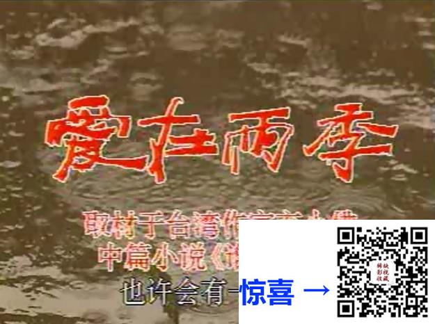 1992-爱在雨季-江珊-金莉莉-师小红-20集-国语无字-MP4-5G-稀缺资源