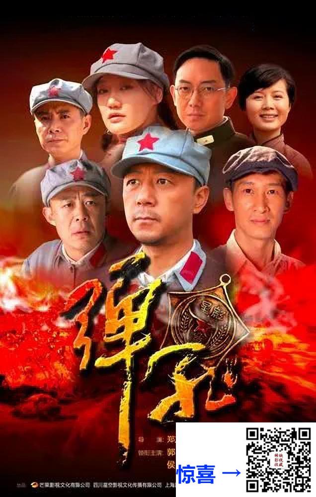 2011-弹孔-郭涛-薛佳凝-郭广平-共30集-国语-中文字幕-MP4每集均约2.0G-共60.56G-1080P-无水印纯净版