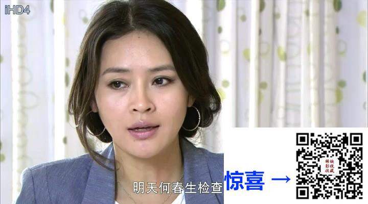 2013-门第-佟大为-于明加-丁嘉丽-共36集-国语中字-MP4每集均约390M-共13.9G-720x400