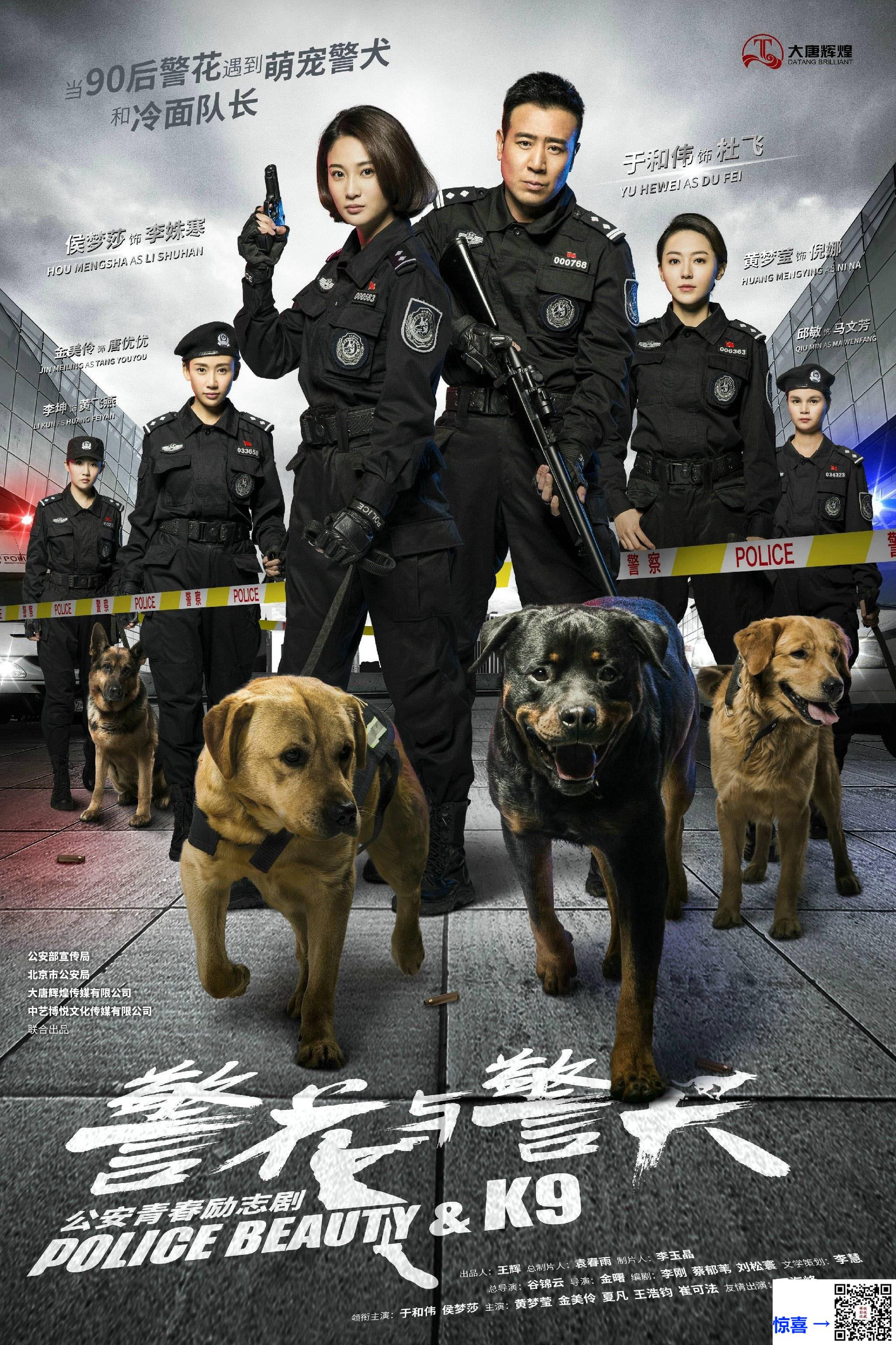 2016-警花与警犬-于和伟-侯梦莎-黄梦莹-共44集-国语-中文字幕-MP4每集均约1.89G-共83.2G-1080P-无水印