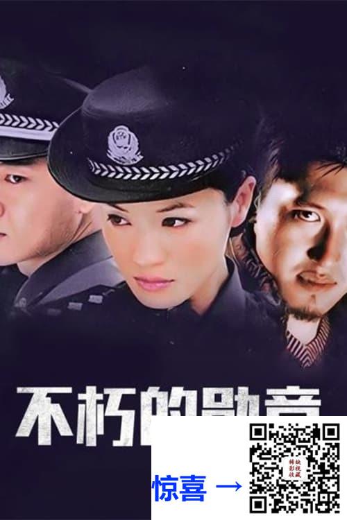 2003-不朽的勋章-韩清-柴勇-共20集-国语中字-MP4每集均约600M-共11.53G-710x434