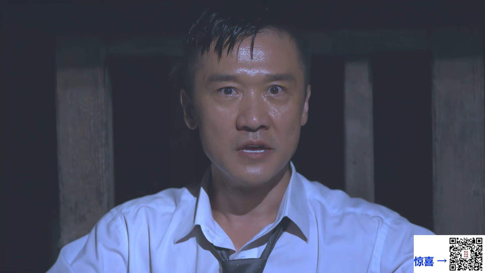 2014-我的绝密生涯-吴刚-黄志忠-左小青-共36集-国语中字-MP4每集均约450M共17.25G-1080P高清无水印