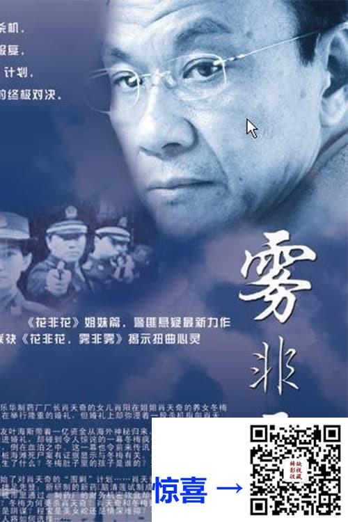 2004-雾非雾-王学圻-陈丽娜-张恒-共21集-国语中字-MP4每集均约530M-共11.12G-768x576