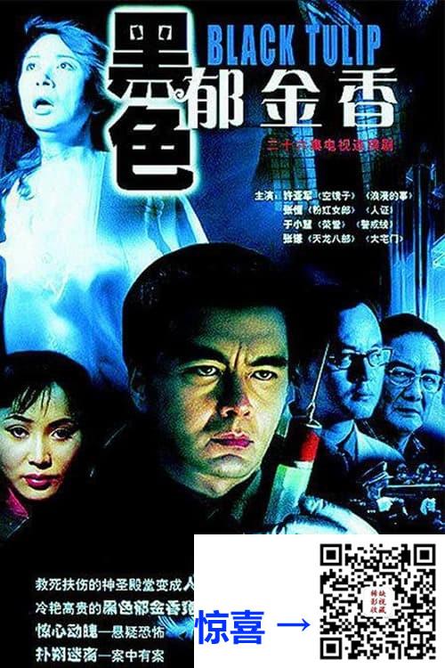 2004-黑色郁金香-许亚军-张恒-于小慧-共25集-国语中字-MP4每集均约260M-共6.48G-720x576