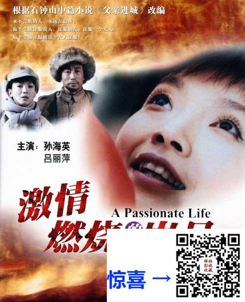 2001-激情燃烧的岁月-孙海英-吕丽萍-吕晓禾-共22集-国语中字-MP4每集均约1.0G-共22.18G-4K超清无水印