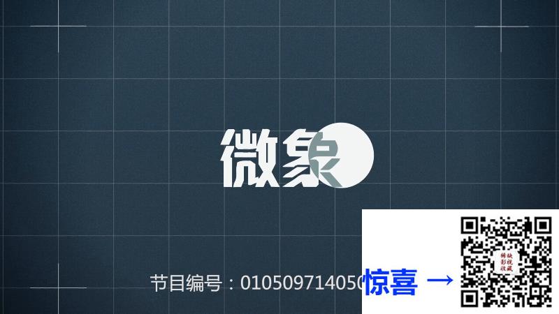2014-微象-周一诺-左立-李任燊-共13集-国语-中文字幕-MP4每集均约713M-共9.06GB-4K-2160P-超清无水印
