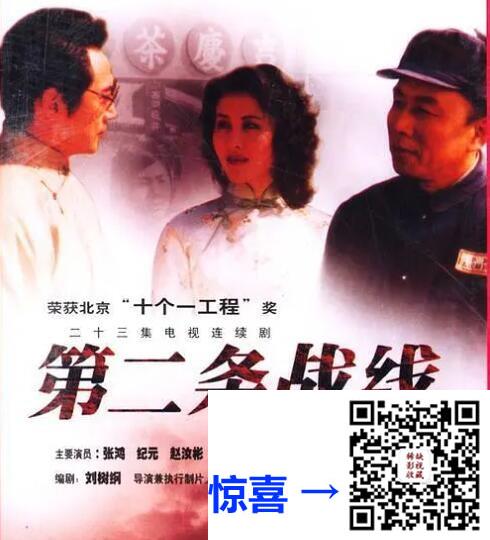 1996-第二条战线-刘佳-张鸿-23集全-国语无字-MKV-每集约360M-共8.09GB-480P-无水印