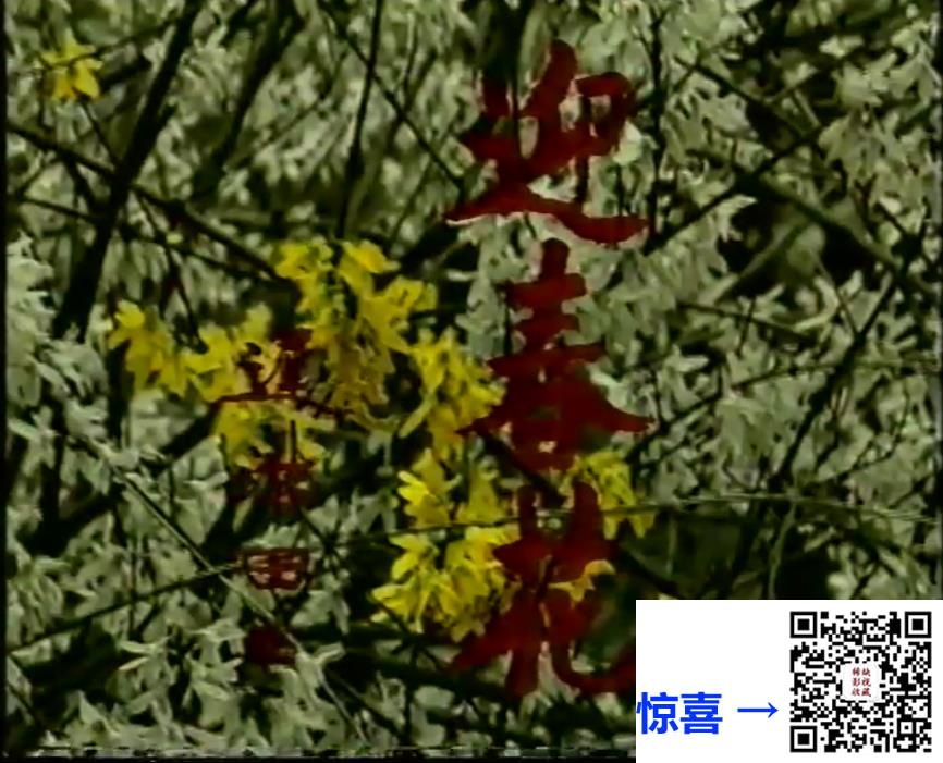 1995-迎春花-李琳-22集-国语无字-MP4-11.7G-录像带转制