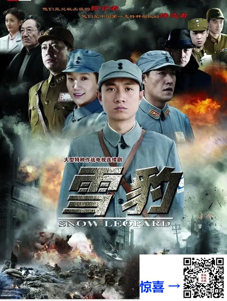 中国-2010-雪豹-国语中字-四川卫视录制源码-ts-1080p-单集约3.3G-共136.8G-40集-文章-陶飞霏-朱杰