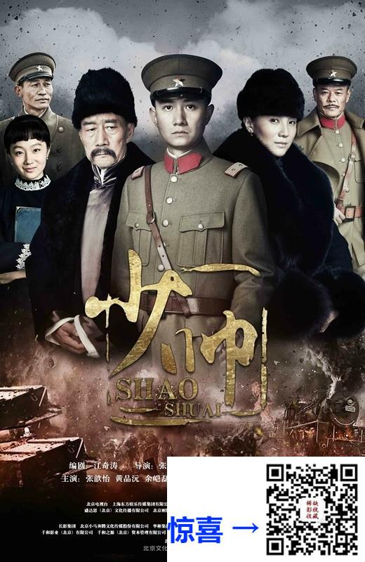 2015-少帅-文章-李雪健-宋佳-共48集-国语中字-MKV每集均约350M--共16.4G-720P-无水印