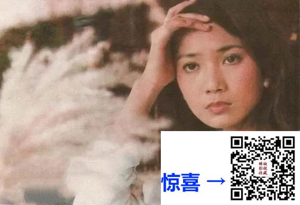 中国台湾-1988-在水一方-秦汉-刘雪华-林在培-李天柱-徐贵樱-40集-国语中字-mkv-每集约170M