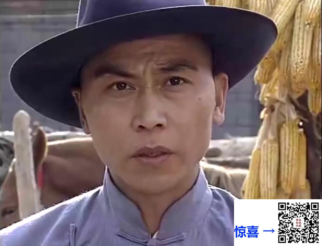 中国-1993-回民支队马本斋-马本斋-8集-国语中字-rmvb-每集约200M