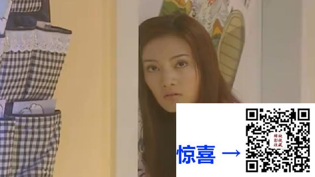 2003-健身房-王东方-雪村-王璐瑶-20集-国语无字-MP4-3.29G