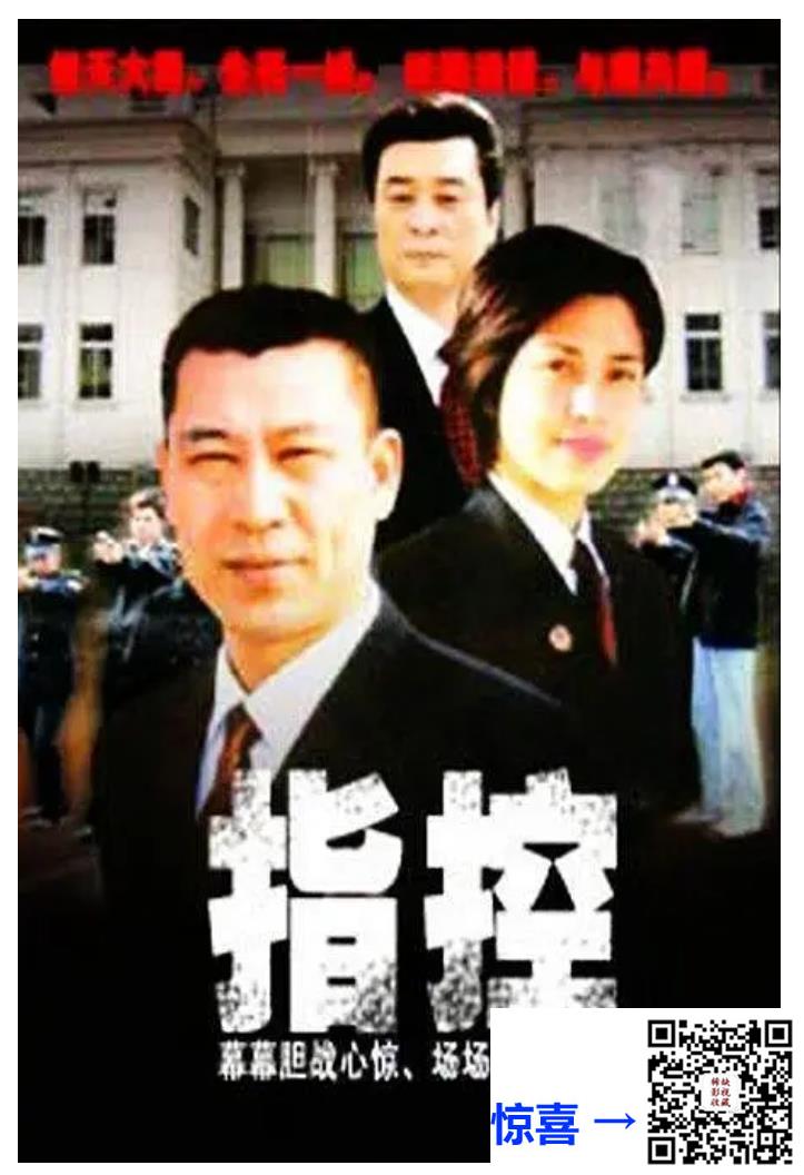 2005-指控-国语中字总20集-MP4-总6.4G-苟音瑛-魏娜-谢思兵-马静-百度网盘