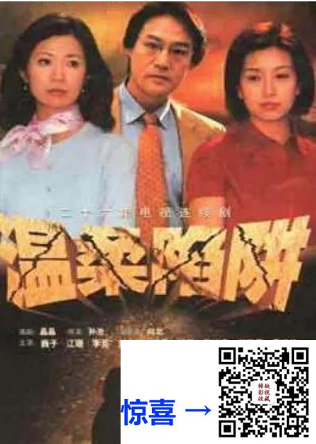 情景-剧情-阿里云盘-2001-温柔陷阱-刘小锋-江珊-26集全-国语中字-mp4-14.5G