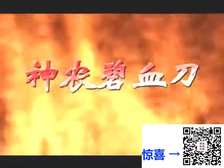 2000-神农碧血刀-修庆-李琳-国语无字-MPG-共15.2G-20集-576P-绝版录像带