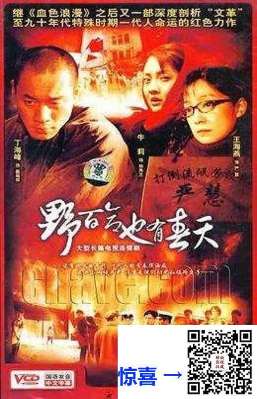 2007-野百合也有春天-丁海峰-28集-576pmkv16.10G-国语中字-带试集
