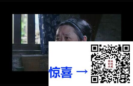 大陆-2004-围屋里的女人-19集全-国语中字-VCDDAT-8.82G