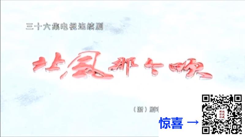 2009-剧情-年代-北风那个吹-36集-夏雨-闫妮-马苏-mkv720p-国语无字-30.8g