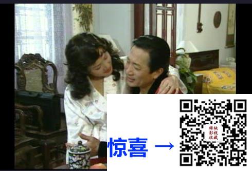 大陆-1996-梦幻天使-国语无字-24VCDDAT-11.2G