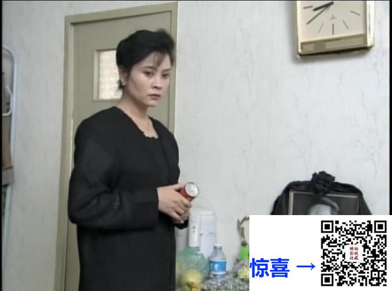 大陆-1994-风过耳-15集-576p-国语无字-MKV-3.61G