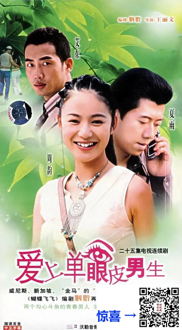 2005-爱上单眼皮男生-夏雨-周韵-艾东-25集全-国语中字-MP4-每集550M共13.91G