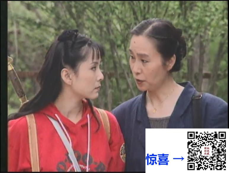 大陆-1995-独身蜜月-8集-576p-国语无字-MKV-3.02G