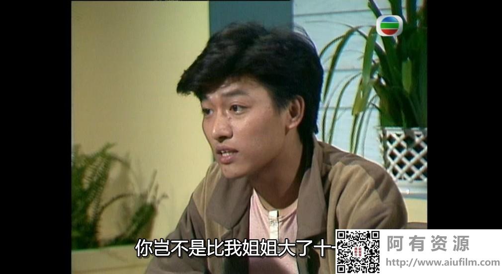 [TVB][1984][画出彩虹][詹秉熙/张曼玉/刘青云][粤语外挂中字][GOTV源码/TS][20集全/单集约760M] 香港电视剧 