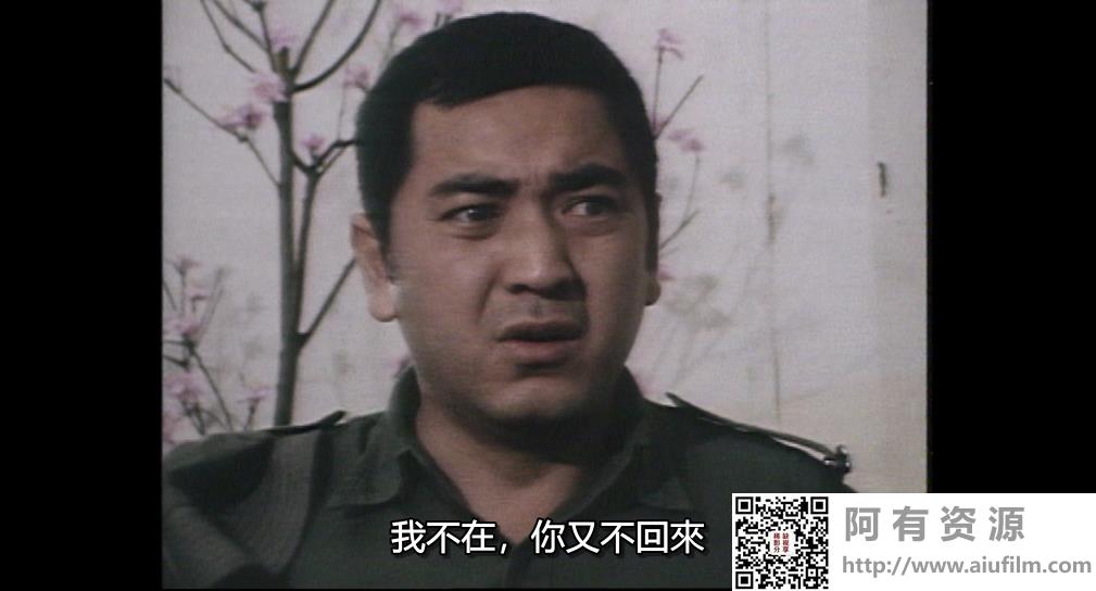[ATV][1980][人在江湖][陈观泰/江汉/林国雄][粤语外挂中字][Mytvsuper源码/1080P][80集全/每集约1.4G] 香港电视剧 