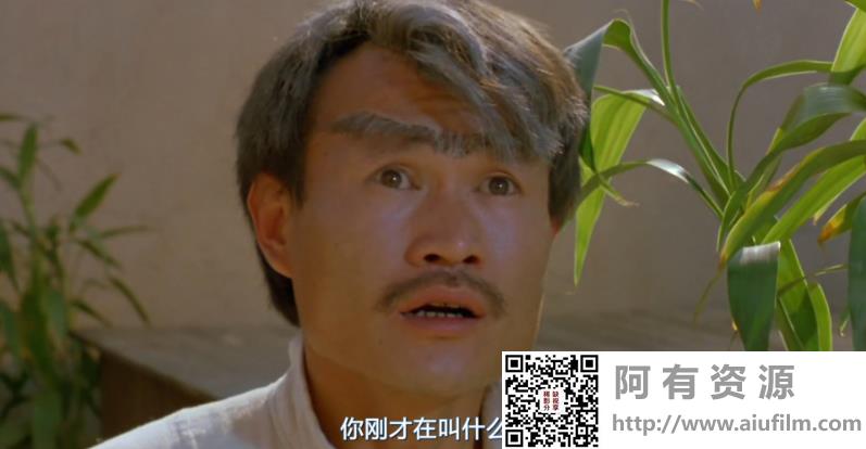 [中国香港][1989][一眉道人][林正英/钱小豪/吕方][国粤双语中字][1080P/MKV/1.46G] 香港电影 