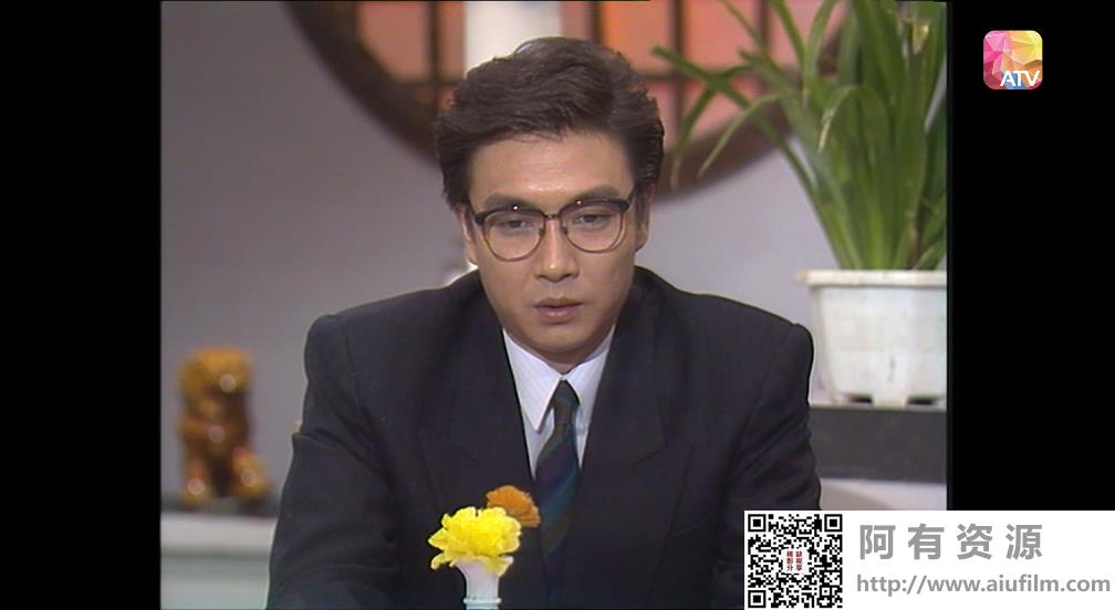[ATV][1988][法网柔情][刘松仁/米雪/汤镇宗][国粤双语无字][新亚视源码/1080P][20集全/每集约1.4G] 香港电视剧 